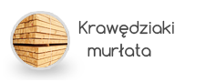 krawedziaki